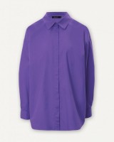Блузка жен. фиолетовый: Цвет: 1.1.2.22.01.04.02222/183839
INCITY

Описание:
 100% Хлопок