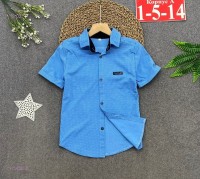 рубашка 1709280-5: Цвет: Голубой
