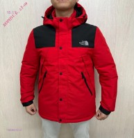 Куртка осень-зима 1666612-2: Цвет: Красный