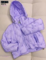 Куртка весна 1717558-5: Цвет: фиолетовый_x000D_
_x000D_
Ткань: Плащовка.
Наполнитель: Холлофайбер.
Подкладка: Полиэстер.