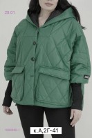 Куртка демисезонная 1698995-1: Цвет: Темно-зеленый