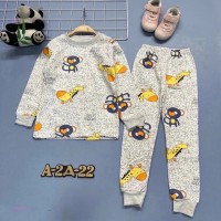 пижама для мальчика 1666849-3: Цвет: Цвет 3
