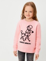 Джемпер детский для девочек Geneva розовый: ACOOLA Kids

Описание:
 80%Хлопок,20%ПЭ