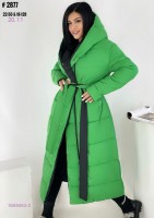 Куртка зима 1669463-2: Цвет: светло-зеленый
