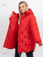 Куртка зима 1679076-3: Цвет: Красный_x000D_
_x000D_
Размеры: Европа (RU+6): 42 (RU46-48), 44 (RU48-50), 46 (RU50-52), 48 (RU52-54), 50 (RU54-56)