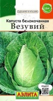 Капуста б/к Везувий (Код: 88725): Цвет: https://sibsadsemena.ru/index.php/katalog/product/view/23/91399
Ультраранний сорт с необычной, оригинальной конической формой кочана. Это удачный выбор для легких и вкусных салатов и закусок. Продукция отличается нежной, хрустящей и сочной структурой. Созревание урожая наступает уже через 100 дней после появления всходов. Листовая розетка крепкая, приподнятая. Кочаны средней массой 1,4-1,5 кг, в меру плотные, просто и быстро шинкуются. Не растрескиваются, сохраняют отличные вкусовые и товарные качества после срезки, но для зимнего хранения не предназначены. Сеянцы пикируют в фазе семядолей. Рассаду высаживают в о/г в фазе пяти-шести настоящих листьев. Посадки размещают на солнечных участках с плодо родными почвами нейтральной кислотности. Фасовка 0,3г