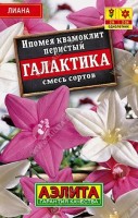 Ипомея Квамоклит Галактика (лидер): Цвет: https://sibsadsemena.ru/index.php/katalog/product/view/100/93461
Необычная лиана с фактурными листьями и цветками-звездочками. Не тре-бует сложного ухода. Используют для быстрого вертикального озеленения. Фасовка 0,3г