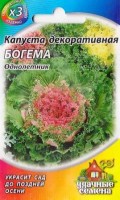 Капуста декоративная Богема: Цвет: https://sibsadsemena.ru/index.php/katalog/product/view/104/74347
Формирует открытые кочаны с резными, волнистыми или курчавыми листьями. Розетка листьев полураскидистая, высотой 25-40 см, диаметром 35-55 см. Окраска листьев серо-зеленая (в крайнем ярусе), плавно переходящая в красно-фиолетовую (в центре). Листья съедобные, рекомендуется для использования в свежем виде, украшения блюд, но чаще используют в качестве декоративного растения. Выращивают рассадным способом. Идеальна для одиночных и групповых посадок, используется как обсадочное растение. Пересаженная осенью в контейнер, сохраняет декоративность до Нового года. Фасовка 0,1г