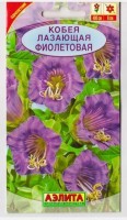 Кобея Фиолетовая: Цвет: https://sibsadsemena.ru/index.php/katalog/product/view/127/75528
Вьющееся растение, выращиваемое как однолетник, с многочисленными побегами длиной до 4 м. Цветки колокольчатые, диаметром до 8 см, светло- или темно-фиолетовые. Кобея теплолюбива. Используется для вертикального озеленения (балконы, беседки, ограды). Фасовка 0,45г