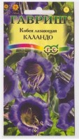 Кобея Лазающая Каландо (Код: 9796): Цвет: https://sibsadsemena.ru/index.php/katalog/product/view/127/75316
Растение для вертикального озеленения из семейства Синюховые, культивируется как однолетник. Цветение начинается в июле и продолжается до заморозков. Цветки сине-фиолетовые, колокольчатые, 7-8 см в диаметре, с длинными тычинками и пестиком, выходящими наружу. Теплолюбива, предпочитает солнечные, хорошо удобренные участки. Выращивается рассадным способом. Посев проводят в конце февраля-марте. Всходы появляются через 10-15 дней после посева. Сеянцы пикируют по одному в горшок в стадии первого настоящего листа. Для опоры ставят колышки. Растения высаживают в открытый грунт в конце мая-начале июня на расстоянии 70-100 см. Используется для озеленения беседок, балконов, оград. Фасовка 5шт