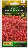 Колеус Блюме Вечерняя заря (Код: 35): Цвет: https://sibsadsemena.ru/index.php/katalog/product/view/128/75531
Популярное декоративнолиственное растение, которое с равным успехом используется как комнатное и как садовый летник. Выращивать его из семян – большое удовольствие, он отлично удается даже у новичков цветоводства. Невероятно яркие,