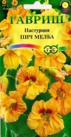 Настурция Пич Мелба: Цвет: https://sibsadsemena.ru/index.php/katalog/product/view/109/74466
Красивое однолетнее растение из семейства Настурциевые с нарядными ярко-желтыми с красными пятнами цветами. Формирует компактный, хорошо облиственный кустик. Цветет обильно с июня до заморозков. Теплолюбива и светолюбива. Предпочитает умеренно плодородные, влажные почвы. Выращивают рассадным способом или прямым посевом в открытый грунт. Для получения рассады семена высевают в горшки по 2-3 штуки в лунку. Всходы появляются через 10-14 дней. В открытый грунт растения высаживают, не нарушая земляной ком. Посев в открытый грунт проводят предварительно намоченными в течение суток семенами по 3-4 шт. в лунку. Используется для посадки в бордюрах, на рабатках, а также в контейнеры и вазы. Температура прорастания семян 20-25