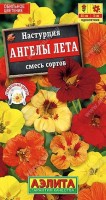 Настурция Ангелы лета (Код: 10761): Цвет: https://sibsadsemena.ru/index.php/katalog/product/view/109/90979
Cвето- и теплолюбивое травянистое растение с толстым плетистым стеблем длиной до 2 м. Цветки на длинных цветоносах, одиночные, неправильные, с тонким приятным ароматом. Прекрасная цветочная культура для оконных ящиков, клумб и бордюров. Фасовка 2г