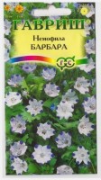 Немофила Барбара пятнистая: Цвет: https://sibsadsemena.ru/index.php/katalog/product/view/136/77889
Низкое однолетнее, полустелющееся растение до 20 см высотой. Стебли лежачие, разветвленные. Листья перисто-лопастные, опушенные. Цветки белые, ширококолокольчатые, с яркими темно-лиловыми пятнами на внешней стороне лепестков. Хорошо растут в полутени, но обильное продолжительное цветение возможно только при хорошем солнечном освещении. Предпочитают рыхлую, питательную, водопроницаемую почву, предъявляя повышенные требования к условиям увлажнения. Посев проводят в самые ранние сроки и следят, чтобы почва не пересыхала. Прорастают через две недели. Прореживают на расстоянии 20 см. Для осеннего цветения сеют в июне. Немофила эффектна вблизи водоемов, легко комбинируется с другими растениями и прекрасно смотрится в бордюрах.