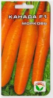 Морковь Канада F1: Цвет: https://sibsadsemena.ru/index.php/katalog/product/view/13/66667
