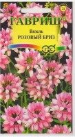 Вязель разноцветный Розовый дрозд (Код: 91345): Многолетнее почвопокровное растение из семейства Бобовые, образует густые заросли высотой до 40 см. В течение всего лета кустик вязеля покрыт нежно-розовыми полушаровидными соцветиями красиво контрастирующими с перистыми изумрудно-зелеными листочками. Осенью на растении появляются не менее декоративные стручки. Очень неприхотлив, растет на любых типах почв, предпочитает солнечные места, но выносит и полутень. Выращивают рассадным и безрассадным способом. Семена перед посевом желательно скарифицировать (аккуратно надрезать внешнюю оболочку, не повреждая зародыш и внутренние семядоли) и посадить во влажную землю на глубину 0,5 см. Очень быстро распространяется самосевом. Вязель способствует обогащению почвы азотом, кроме того закрепляет крутые склоны и препятствует дальнейшим процессам эрозии почвы. Великолепно подходит для создания ярких цветовых пятен на клумбах, рабатках, вертикального озеленения. Идеально подойдет для украшения склона оврага, или почти вертикального края холма. Является медоносом.

Фасовка 0,2г

Производитель: Гавриш