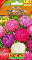 Астра Примадонна смесь: Цвет: https://sibsadsemena.ru/index.php/katalog/product/view/83/74384
Смесь низкорослых астр сверхраннего срока цветения. Зацветает примерно на 2 недели раньше стандартных сортов. Формирует крепкие, компактные, кустистые растения высотой 35-40 см. Соцветия густомахровые, пионовидной формы, диаметром свыше10 см. Растения устойчивы к фузариозу. Не теряют декоративности в дождливую погоду. Ценная обсадочная астра для бордюров. Идеальна для выращивания в контейнерах на балконах и в саду. Фасовка 0,2г