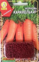 Морковь Карамелька (Код: 82333) гранула: Цвет: https://sibsadsemena.ru/index.php/katalog/product/view/370/77728
Раннеспелый сорт, период от всходов до технической спелости 70-90 дней. Ценится за отличные вкусовые качества, богатое содержание сахаров и каротина, отличную лежкость. Корнеплоды конические (сортотип Флакке), длиной 15-16 см, массой 95-170 г, с гладкой и ровной поверхностью. Мякоть сочная, нежная и очень сладкая. Один из лучших сортов для детского и диетического питания. Прекрасно подходит для свежего потребления, замораживания, зимнего хранения, выращивания на пучковую продукцию. Фасовка 2г