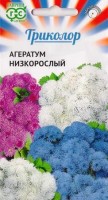 Агератум Триколор низкорослый смесь: Цвет: https://sibsadsemena.ru/index.php/katalog/product/view/84/74215
Очень красивая и длительно цветущая смесь сортов с большими пушистыми шапками соцветий в оттенках флага России! Растение из семейства Астровые, высотой 20-25 см. Цветет обильно с июня до заморозков. Соцветия мелкие, душистые, до 1-1,5 см, собраны в более крупные щитковидные соцветия до 8-10 см в поперечнике. Агератум засухоустойчив, светолюбив, но может расти при небольшом затенении, предпочитает легкие, умеренно плодородные почвы. Теплолюбив, заморозков не переносит. Выращивают рассадным способом. Посев проводят в конце марта-начале апреля, всходы появляются через 8-12 дней. Рассаду высаживают в конце мая-начале июня после окончания весенних заморозков. Используют для посадки на клумбах, в рабатках, миксбордерах, а также в балконные ящики. Фасовка 0,15г