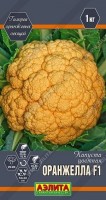 Капуста цветная Оранжелла F1: Цвет: https://sibsadsemena.ru/index.php/katalog/product/view/30/91406
Овощи самых разных окрасок украшают любое застолье. Оранжевые – это настоящая бомба из витамина С и ?-каротина, который в организме превращается в провитамин А. Добавляйте их в рацион питания и они укрепят ваш иммунитет. Оранжевый – цвет радости, оптимизма и здоровья! Цветная капуста с таким цветом головок – большая редкость! Гибрид раннеспелый, готов к уборке уже через месяц после высадки рассады. За сезон можно получить 2 урожая. Головки плотные, ровные, массой до 1 кг. Соцветия нежные и хрустящие, приятного вкуса. Они отлично подходят для салатов, консервирования и замораживания. Гибрид неприхотливый, холодостойкий, растет и развивается быстро. Урожайность – 4-6 кг/м2. Фасовка 5шт