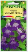 Азарина Музыка ветра: Цвет: https://sibsadsemena.ru/index.php/katalog/product/view/165/77876
Однолетнее вьющееся растение длиной 3-3,5 м. Мелкие, темно-зеленые, бархатистые листья – великолепный фон для крупных, до 3 см, воронковидных цветов насыщенного фиолетового тона, располагающихся по всей длине стебля. При раннем посеве цветение начинается в июне и продолжается до осени. Растение предпочитает хорошо дренированную почву и солнечные места. При выращивании рассады посевы проводят в феврале-апреле в горшочки по 3-4 семени. Семена слегка вдавливают в почву, не присыпая землей. Посадочную емкость накрывают стеклом и ставят в освещенное место. При температуре почвы +10-20