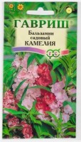 Бальзамин Камелия садовый: Цвет: https://sibsadsemena.ru/index.php/katalog/product/view/80/73661
Однолетнее растение семейства Бальзаминовые пирамидальной формы, до 25 см высотой. Теплолюбивое, теневыносливое, достаточно влаголюбивое. Стебли мясистые, легко ломаются в узлах. Цветки крупные, диаметром до 4 см, простые или махровые, камелиевидной формы, от белой до фиолетовой окраски. Цветет в июне-сентябре. Оригинальные плоды, созревая, "взрываются" при малейшем прикосновении, разбрасывая семена на значительные расстояния. Повреждается даже легкими заморозками. Не переносит избыточного переувлажнения. Высевают в марте-апреле. Высаживают в конце мая - начале июня, на расстоянии 20-30 см. Выращивают в цветниках, уличных вазонах и контейнерах, висячих корзинах или ящиках на балконах. Можно выращивать как комнатное растение. Фасовка 0,2г