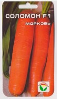 Морковь Соломон F1 (Код: 73433): Среднеспелый гибрид, с очень крупными плодами цилиндрической формы, длиной 20-25см. Корнеплоды выровненные, ярко-оранжевые, прекрасно хранятся.

Фасовка 2г

Производитель: Сибирский сад