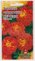 Бархатцы Мерседес (Код: 72097): Цвет: https://sibsadsemena.ru/index.php/katalog/product/view/82/76865
Травянистое растение семейства Сложноцветные. Образует компактный густоветвящийся кустик высотой 30 см. Соцветия-корзинки, диаметром 4-5 см, махровые, гвоздиковидные, красно-коричневые с желтым центром. Цветет с июня по сентябрь. Светолюбивы и теплолюбивы, заморозков не переносят. Предпочитают плодородные легкие почвы. Выращивают, как правило, рассадным способом. Используют для посадки на клумбах, рабатках, бордюрах, в балконные ящики, можно использовать как горшечную культуру. Фасовка 0,3г