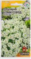 Лобулярия Белый город (Код: 16781): Цвет: https://sibsadsemena.ru/index.php/katalog/product/view/81/76815
Однолетнее растение из семейства Крестоцветные. Кусты низкие, ветвящиеся, компактные, высотой 8-12 см. Листья узколанцетные. Цветки мелкие, белые, 3-4 мм в диаметре, собраны в кистевидные соцветия, с сильным запахом меда, полностью покрывают кусты во время цветения. Цветет с июня до октября. Выращивают рассадным способом или прямым посевом в грунт. Возможен подзимний посев. К почвам нетребовательна, светолюбива, холодостойка. Не переносит избытка влаги и длительной засухи. Используют для широких ленточных ленточных цветников, массивов, бордюров, каменистых россыпей. Фасовка 0,2г