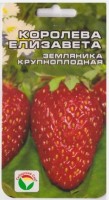 Земляника Королева Елизавета (Код: 9658): Цвет: https://sibsadsemena.ru/index.php/katalog/product/view/33/73262
Культура независимого светового дня, плодоносящая без пауз, формирующая и на усах крупные ягоды массой до 50 г. Ягоды темно-малинового цвета, душистые и плотные, вкусны и ароматны, транспортабельны. Сорт требует обязательного внесения подкормок. Фасовка 10шт