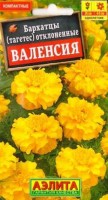Бархатцы Валенсия: Цвет: https://sibsadsemena.ru/index.php/katalog/product/view/82/74341
Популярный однолетник с очень привлекательными яркими оранжево-золотистыми цветками, очень долго сохраняющими декоративность. Кустики пышные и компактные, высотой до 30 см. Растения неприхотливы и очень просты в уходе. Станут интересным, красочным дополнением к садовым бордюрам и цветникам, а также отличным украшением балконных ящиков и горшков. Эти веселые огоньки не только помогут оживить сад, но и будут поднимать вам настроение. Фасовка 0,3г