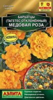 Бархатцы Медовая Роза: Цвет: https://sibsadsemena.ru/index.php/katalog/product/view/82/92769
Красочный, эффектный сорт бархатцев с махровыми крупными соцветиями ярко-оранжевого оттенка. Куст высотой* 40-45 см, плотный, компактный, с большим числом боковых побегов. Цветение очень обильное, наступает рано, продолжается вплоть до первых заморозков. Цветки ? 4-5 см, долго сохраняют свежесть и насыщенность цвета. Растения крепкие, устойчивые к вредителям и болезням, обладают оздоравливающими и защитными свойствами для почвы и окружающих посадок. Подойдут для украшения разнообразных садовых цветников и высадки в крупные вазоны. *Высота растений зависит от условий выращивания. Фасовка 0,3г