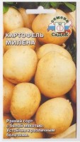 Картофель Милена: Цвет: https://sibsadsemena.ru/index.php/katalog/product/view/38/88965
Очень ранний сорт-популяция столового назначения. Куст средний, полураскидистый. Клубни крупные, округло-овальные, с желто-белой кожурой, поверхностными глазками и бледно-желтой и белой мякотью. Имеет хорошие вкусовые качества. Обладает комплексной устойчивостью к фитофторозу, вирусным болезням, нематодам. Отличается высокой урожайностью, интенсивным формированием товарных клубней. Посев производить замоченными и наклюнувшимися семенами. Фасовка 0,2г