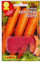 Морковь Королева Осени (Код: 70075) гранула: Цвет: https://sibsadsemena.ru/index.php/katalog/product/view/370/74038
Сорт позднеспелый (период от всходов до технической спелости 125-135 дней), урожайный. Корнеплод оранжевого цвета, очень крупный, мякоть сочная, нежная, сладкая. Предназначен для длительного хранения. Фасовка 300шт