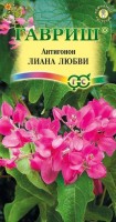 Антигонон розовый Лиана любви (Код: 72767): Вьющееся вечнозеленое растение со слегка одревесневающим стеблем из семейства Гречишные. В естественных условиях может достигать 13 м, но в культуре обычно вырастает до 6 м. Листья крупные, насыщенно-зеленые, сердцевидные, с бархатистой поверхностью. Ярко-розовые цветки собраны в пушистые кисти по 20 шт. После цветения на растении образуются плоды — конусовидные глянцевые орешки коричневого цвета. Характерной особенностью антигонона является наличие усиков не только в пазухах листьев, но и на концах цветочных кистей. И, когда эти усики прикрепляются к опорам, кажется, что растение украшено яркими бусами, и это придает ему совершенно неповторимое очарование. В умеренном климате антигонон можно выращивать в качестве комнатного растения, которое летом содержат в квартире или на балконе, а зимой переносят в прохладное помещение. Или высаживают летом в саду, а осенью убирают и хранят клубни при температуре 2-5°С. Растение светолюбивое и теплолюбивое (летом — 18-20°С, зимой – не меньше 10°С), очень не любит сквозняки и заморозки. Летом поливают часто, зимой полив сокращают до минимума. Подкармливают 1-3 раза в месяц в период активного роста и цветения. Семена перед посевом рекомендуется замочить в теплой воде на 12 часов. Затем их высевают в рыхлый субстрат, накрыв пленкой. Семена прорастают на свету, при температуре 25°С. Пересаживают по мере необходимости.

Фасовка 5шт

Производитель: Гавриш