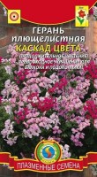 Герань плющелистная Каскад цвета: Цвет: https://sibsadsemena.ru/index.php/katalog/product/view/123/76498
Это многолетнее полукустарниковое растение часто выращивается как холодостойкий однолетник. Её ниспадающие побеги - изумительно красивы! Оригинальное ампельное растение для вертикального озеленения, превосходно смотрится в контейнерах и кашпо. Она порадует вас своей длительностью цветения и станет настоящей находкой для горшков и балконных ящиков. Цветки пеларгонии плющелистной собра