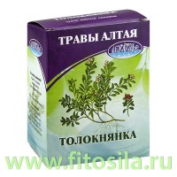 Толокнянка, лист, 50 г, коробочка, чайный напиток: Цвет: https://fitosila.ru/product/toloknanka-list-50-g-korobocka-cajnyj-napitok
В народной медицине настои и отвары из листьев толокнянки используют при сердечных отеках и как антисептическое средство при болезнях мочевыводящих путей и мочевого пузыря. Толокнянку также назначают в качестве лечебного и болеутоляющего при суставном ревматизме, подагре, злокачественных опухолях, эффективна при мочекаменной болезни, пиелитах, циститах и уретритах.