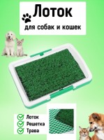 Лоток для кошек и собак: Цвет: https://www.kosmetichca.ru/product/lotok-dlya-koshek-i-sobak/
Лоток для кошек и собак – это незаменимый аксессуар для всех любящих хозяев животных. Наш лоток для собак, подходит так и для кошек. Лоток выполнен из прочного и легкого материала, что обеспечивает надежность и удобство в использовании. Коврик имитирующий траву и сетка в комплекте обеспечивают вашему питомцу удобное место для оздоровления. Размеры туалета для кошек, составляют 45*30*6 см, что позволяет использовать его как в квартире, так и на улице. Кроме того, наш туалет для собак легко моется и прост в обслуживании. Вы можете быть уверены, что ваш питомец будет чувствовать себя удобно и комфортно при использовании нашего лотка для животных. Этот товар для животных является отличным вариантом для тех, кто заботится о здоровье и комфорте своих питомцев. Наш лоток для кошек и собак позволит вашим животным чувствовать себя как дома, где бы вы ни находились. Лоток для животных – это простое и эффективное решение для всех, кто любит своих питомцев.