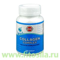 Коллаген говяжий + Витамин С,120 капсул Dr.Mybo БАД: Цвет: https://fitosila.ru/product/kollagen-govazij-vitamin-s120-kapsul-drmybo-bad
Коллаген - незаменимый белок животного происхождения, поддерживает оптимальное состояние хрящей, мышц, кожи, сухожилий и сосудов, дефицит которого способен привести к нежелательным последствиям.
Коллаген быстро разрушается в организме из-за нехватки витамина С, плохого питания, ультрафиолета, вредных привычек, и чтобы избежать проблем со здоровьем и внешностью, его запасы необходимо регулярно пополнять.
Коллаген отвечает за молодость кожи, поддерживает оптимальный уровень влаги в коже, способствует гибкости суставов, укрепляет суставные связки, предотвращая развитие воспалений, предотвращает выпадение волос, разглаживает атрофические рубцы, следы постакне и растяжки, укрепляет ногти и зубы, эффективно борется с изжогой и не допускает образования язвы.
Животный коллаген - наиболее распространенный и самый доступный вид добавки. 