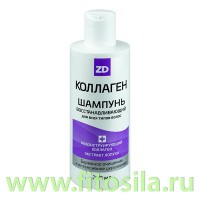 Шампунь для волос восстанавливающий КОЛЛАГЕН ZD, 250 мл.: Цвет: https://fitosila.ru/product/sampun-dla-volos-vosstanavlivausij-kollagen-zd-250-ml
Шампунь для волос восстанавливающий КОЛЛАГЕН ZD бережно очищает, подходит для ослабленных и ломких волос. Придаёт волосам силу, восстанавливает и укрепляет их.
Реконструирующий коллаген – настоящий строитель для клеток волос и кожи головы. Наиболее близок к белку соединительной ткани человека, является структурным каркасом для формирования новых клеток, стимулирует регенерацию, благоприятно воздействует и способствует восстановлению кожи головы, препятствует выпадению волос.
Экстракт лопуха – укрепляет структуру волос, активизирует их рост.
Для достижения максимального эффекта рекомендуется использовать в паре с восстанавливающим бальзамом для волос из серии КОЛЛАГЕН ZD.