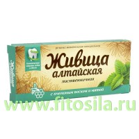 Живица "Алтайская" с пчелиным воском и мятой, блистер № 4 х 0,8 г, т. м. "Алтайский нектар": Цвет: https://fitosila.ru/product/zivica-altajskaa-s-pcelinym-voskom-i-matoj-blister-no-4-h-08-g-t-m-altajskij-nektar
Живица алтайская
 - это 100% натуральная жевательная резинка, созданная на основе лучших природных компонентов.
Природная жевательная резинка является отличным средством гигиены полости рта, благодаря входящим в состав биологически активным компонентам, а также отличается эффективными лечебно - профилактическими свойствами.
Живица
 стимулирует и восстанавливает обменные процессы в клетках тканей, улучшает кровообращение и кислородный обмен. Оказывает укрепляющее действие на эмаль, восстанавливая ее минеральный состав, способствует укреплению десен и корней зубов.
Пчелиный воск смешанный с прополисной смолой
 - обладает мощным антибактериальным, противовоспалительным и регенеративным действием.
Экстракт мяты перечной
- освежает дыхание. Снижает тягу к курению. Обладает местным анестезирующим действием, помогает снизить ощущения при воспалительных процесса в полости рта и гортани. 