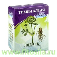 Дягиль, корень, 50 г, коробочка, чайный напиток: Цвет: https://fitosila.ru/product/dagil-koren-50-g-korobocka-cajnyj-napitok
Корень дягиля применяют как отхаркивающее, мочегонное, потогонное, противовоспалительное, спазмолитическое, бактерицидное, желчегонное и болеутоляющее средство. Дягиль также эффективно помогает при бронхитах, пневмонии и ларингитах