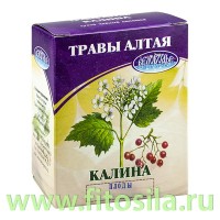 Калина, плоды, 50 г, коробочка, чайный напиток: Цвет: https://fitosila.ru/product/kalina-plody-50-g-korobocka-cajnyj-napitok
Целительные свойства калины заключены в ее плодах, коре, цветках. Для лечения гипертонической болезни, атеросклероза, гастрита, колита, язвенной болезни желудка и двенадцатиперстной кишки, простуды, сосудистых спазмов назначают настой плодов калины. Ягоды оказывают вяжущее, мочегонное и успокаивающее действие, поэтому полезны при неврозах, сосудистых спазмах. Настой цветков калины полезен при гастритах с пониженной кислотностью и болезненных менструациях. Отвар цветков и ягод калины служит хорошим полосканием при ангине и осипшем голосе. Можно употреблять ягоды калины в любом виде.