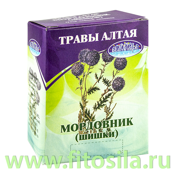 Мордовник, шишки, 20 г, коробочка, чайный напиток: Цвет: https://fitosila.ru/product/mordovnik-siski-20-g-korobocka-cajnyj-napitok
Лекарственное применение мордовника связано с лечением такой группы болезней, как паралич, плексит, он действует возбуждающе на ЦНС и улучшает функции органов чувств, оказывает тонизирующее действие, помогает при головной боли, истощении. Он может оказывать двухстороннее воздействие на артериальное давление и применяется как при гипертонии, так и при гипотонии. Применяется мордовник при кожных болезнях, при болезнях легких, горла, носа, а также действует как потогонное и мочегонное (диуретическое). Отдельные части лекарственного растения применяют при инфекционном гепатите, эхинококке печени, перемежающейся лихорадке (корни), респираторных инфекциях, малярии, при головной боли, плеврите, гастроэнтеритах (соцветия), пневмонии — соцветия (в сборе). Плоды мордовника используются при астении, атрофии мышц; при параличе периферическом, при атрофии зрительного нерва. При эпилепсии применяется надземная часть растений — соцветия. Используются они и при болезнях кожи, болезнях печени, желчных протоков, как желчегонное, а при рвоте, нервно-психических болезнях и болезнях крови используются корни. Они же используются при раке пищевода, раке желудка, при остеомиелите. Семена мордовника применяются при очень серьезных нервных заболеваниях: парезах и параличах, плекситах, радикулитах и, а также рассеянном склерозе, миопатии, полиомелите, в лечении последствий инсульта, хронического лучевого воздействия.