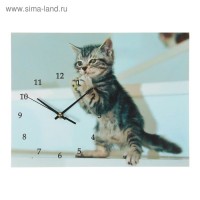 Настенные часы-картина "Игривый котёнок", 30 × 40 см: 
