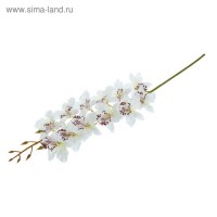 Цветы искусственные "Орхидея Загадка" белая: 