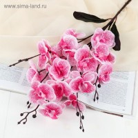 Цветы искусственные "Орхидея фаленопсис" 8*80 см, розовый: 