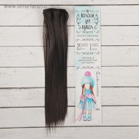 Волосы - тресс для кукол "Прямые" длина волос 25 см, ширина 100 см, цвет № 3: 