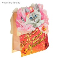 Пакет–открытка «Котёнок» 12 ШТУК: 