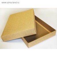 Коробка крафт из рифленого картона 34 х 24 х 5 см: 